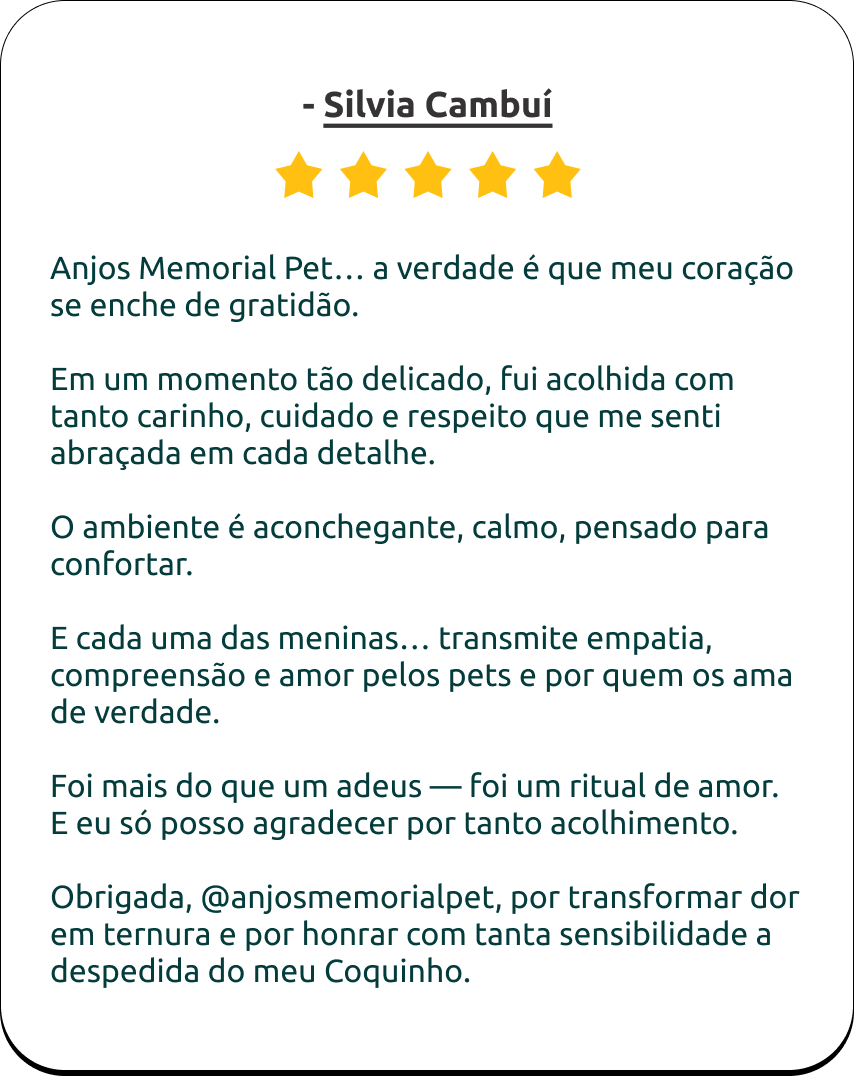 Depoimento 2